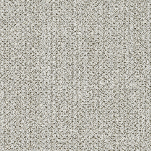 DreamWeaver Montreal II 8042 Tralee Loop Polyester Carpet — Stone