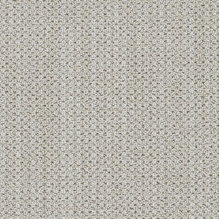 Montreal II Polyester Cabra 8043 Carpet Loop 1