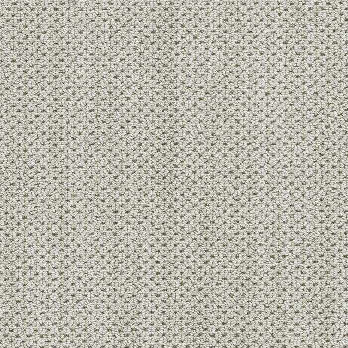 Montreal II Polyester Via Bella 8115 Carpet Loop 1