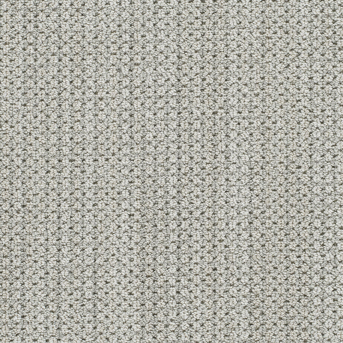 Montreal II Polyester Newbridge 8158 Carpet Loop 1