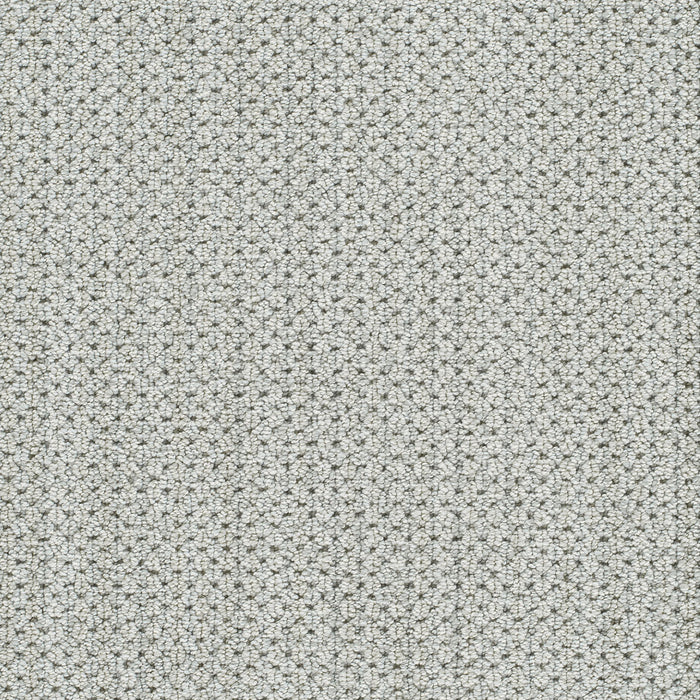 Montreal II Polyester Bridgeton 8174 Carpet Loop 1