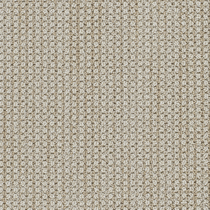 Montreal II Polyester La Casa 8211 Carpet Loop 1