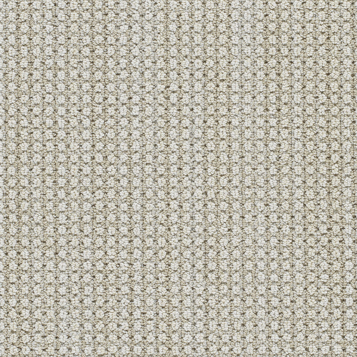 Montreal II Polyester Lion'S Bay 8454 Carpet Loop 1