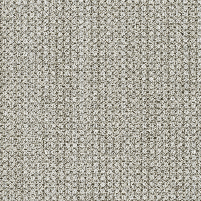 Montreal II Polyester Shellbrook 8580 Carpet Loop 1