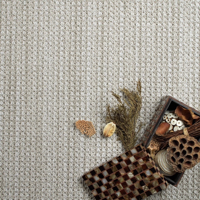 Montreal II Polyester Shellbrook 8580 Carpet Loop 2