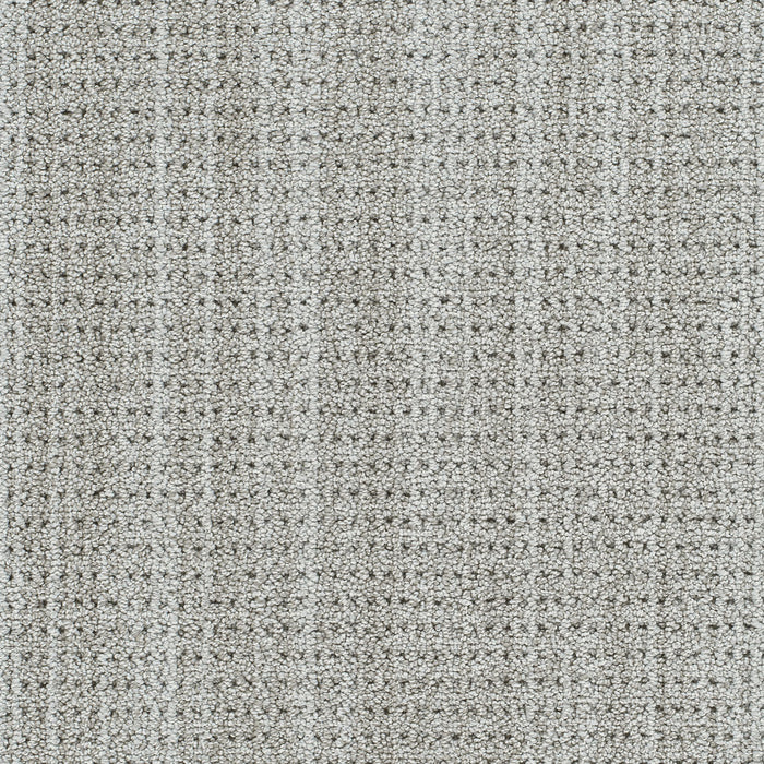 Chelsea II Polyester Ash Meadow 5086 Carpet Pattern 1
