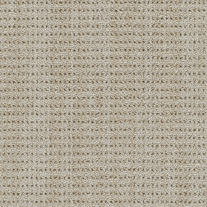 Chelsea II Polyester La Casa 8211 Carpet Pattern 1