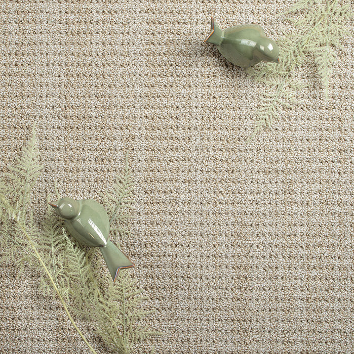 Chelsea II Polyester La Casa 8211 Carpet Pattern 2