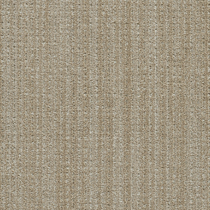 Davos II Polyester Elk Point 8574 Carpet Pattern 1