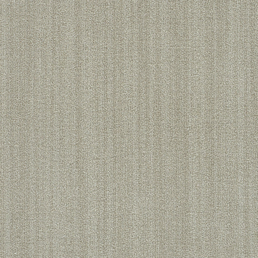 Aberdeen II Polyester Belmont 3927 Area Rug Textured 1