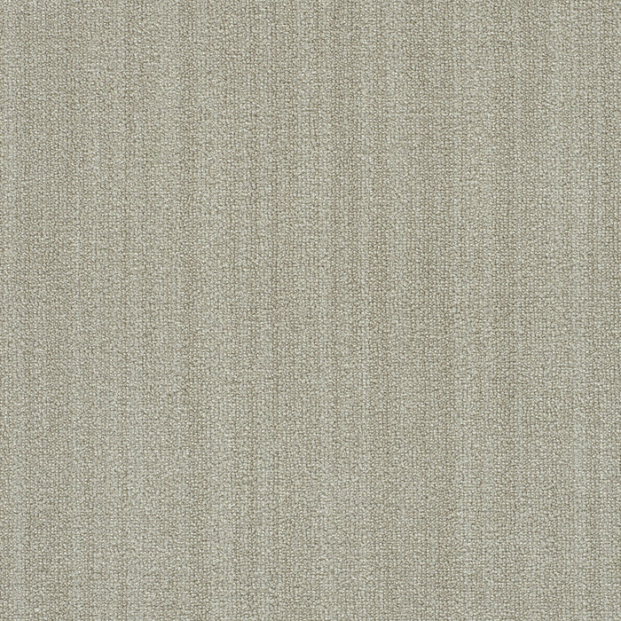 Aberdeen II Polyester Belmont 3927 Carpet Textured 1