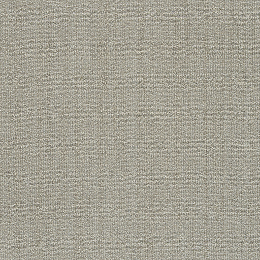 Aberdeen II Polyester Amargosa 5294 Area Rug Textured 1