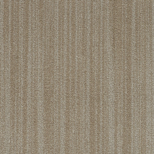Aberdeen II Polyester Desert Gold 8091 Area Rug Textured 1