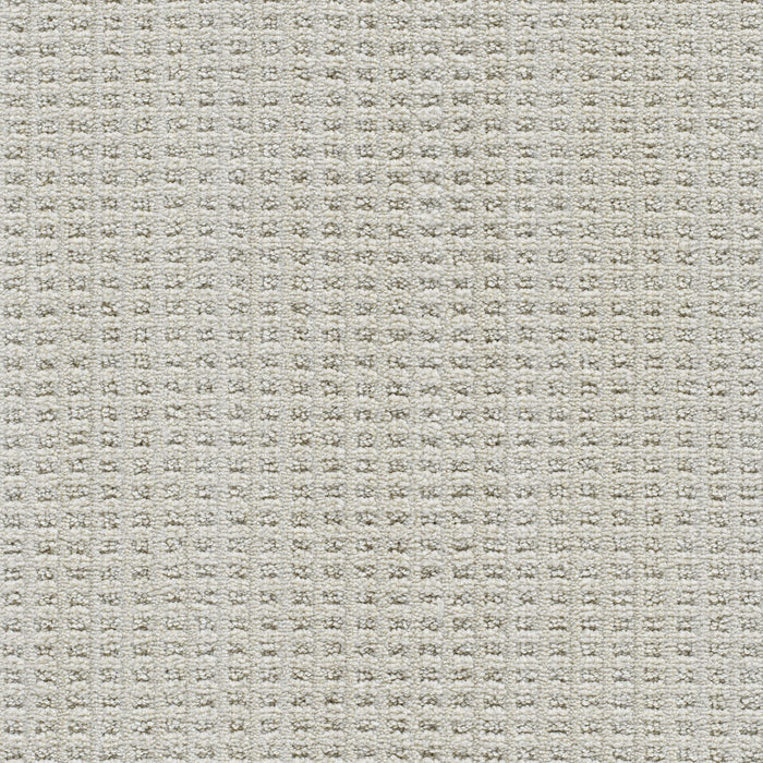 Dublin II Polyester Merino 2703 Carpet Loop 1