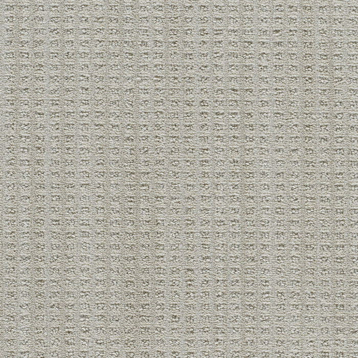 Dublin II Polyester Tweel 3915 Carpet Loop 1