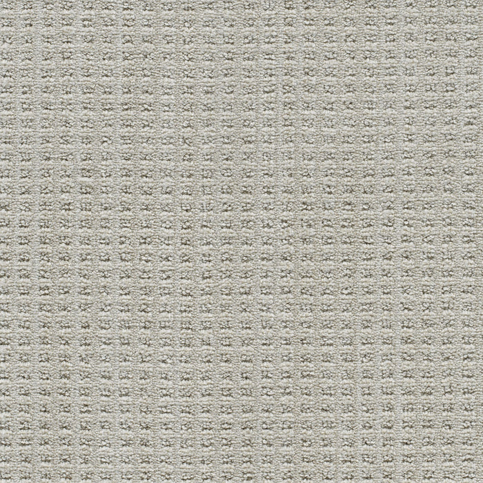 Dublin II Polyester Cabra 8043 Carpet Loop 1