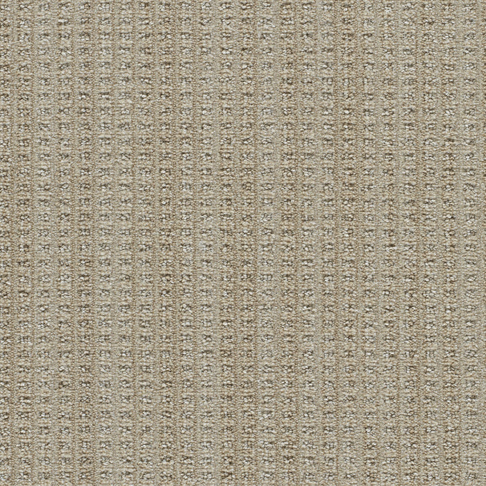 Dublin II Polyester Sandymount 8073 Carpet Loop 1