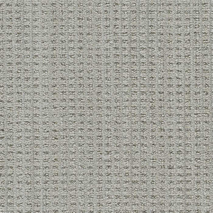 Dublin II Polyester Newbridge 8158 Carpet Loop 1