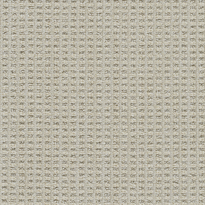Dublin II Polyester Dundrum 8187 Carpet Loop 1