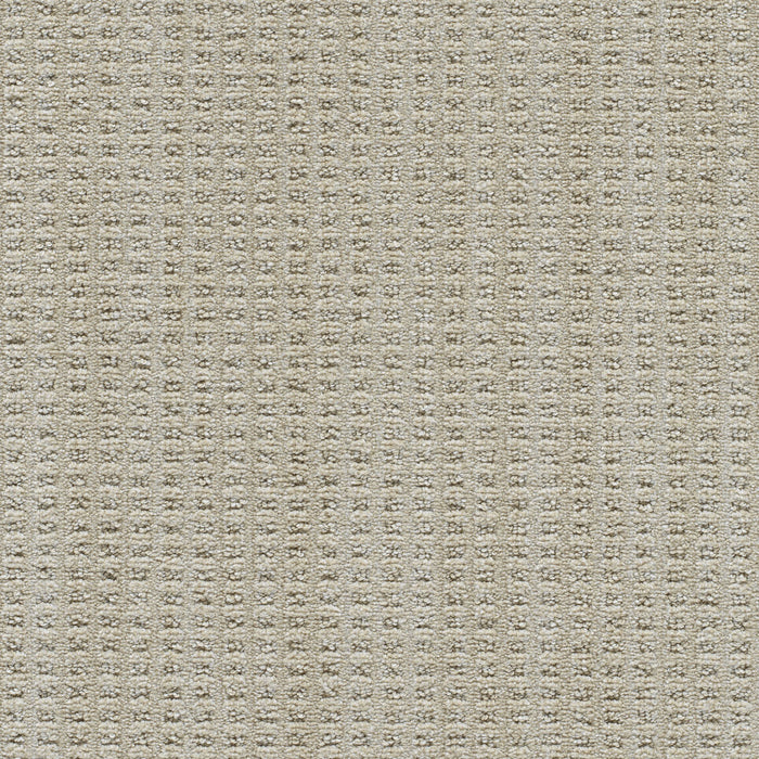 Dublin II Polyester Deerpark 8278 Carpet Loop 1