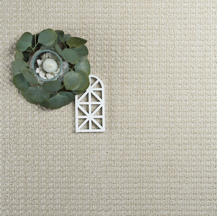 Dublin II Polyester Dundrum 8187 Carpet Loop 3