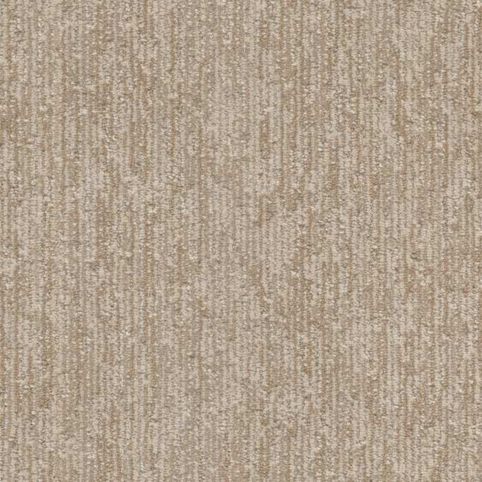 Baja II Polyester Prairie Grove 8120 Carpet Loop 1