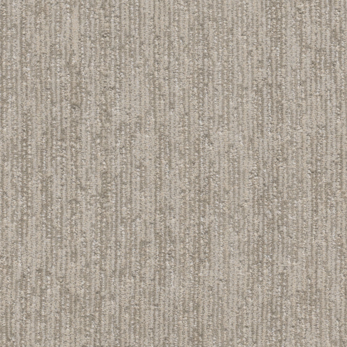 Baja II Polyester Point Break 8153 Carpet Loop 1