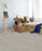 Baja II Polyester Point Break 8153 Carpet Loop 2