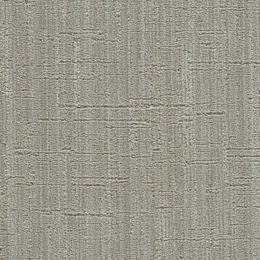 studios様 葡萄蔓2k DreamWeaver Darlington 4662 Kiwi Cove Loop Polyester Carpet