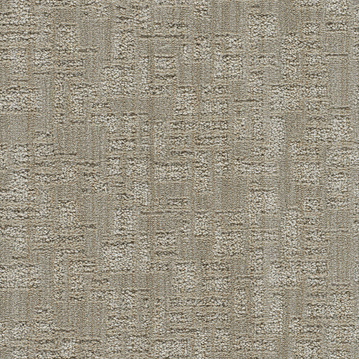 Oxford II Polyester Malta 8030 Carpet Loop 1