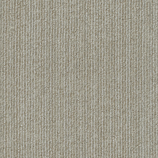 Newport Polyester Shetland 8081 Carpet Loop 1