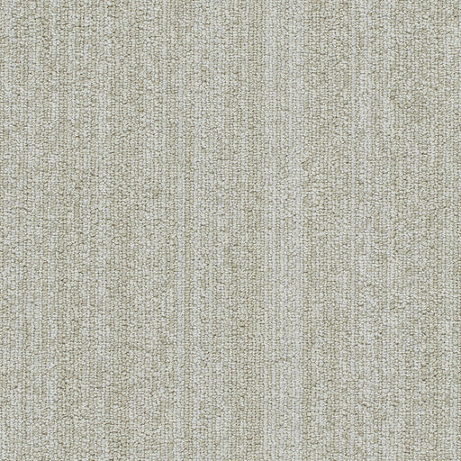 Newport Polyester Organic 8141 Carpet Loop 1