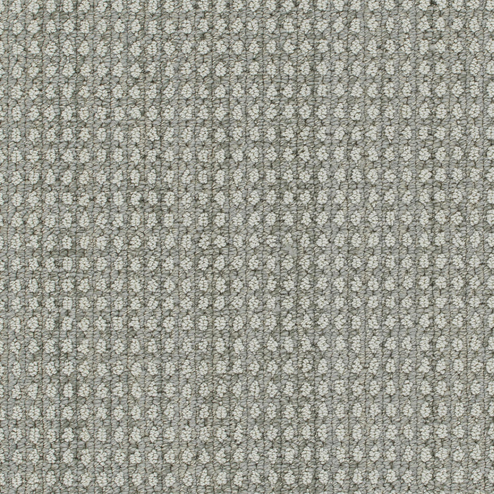 Brunswick Polyester Desert Moon 8028 Carpet Loop 1