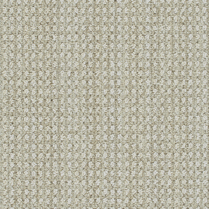 Brunswick Polyester Shifting Sands 8060 Carpet Loop 1