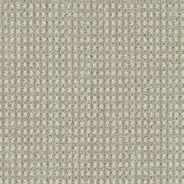 Brunswick Polyester Natural Glow 8129 Carpet Loop 1