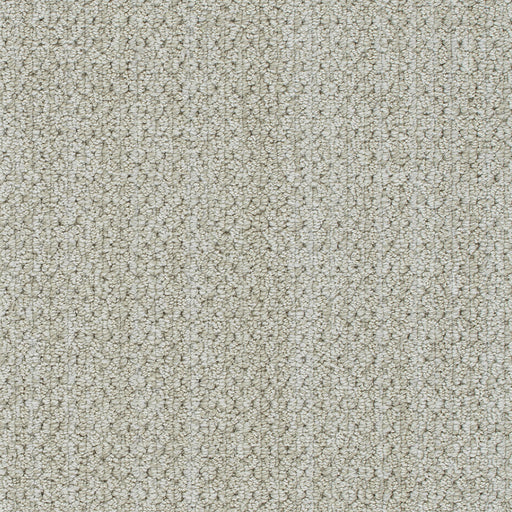 Brunswick Polyester Organic 8141 Carpet Loop 1