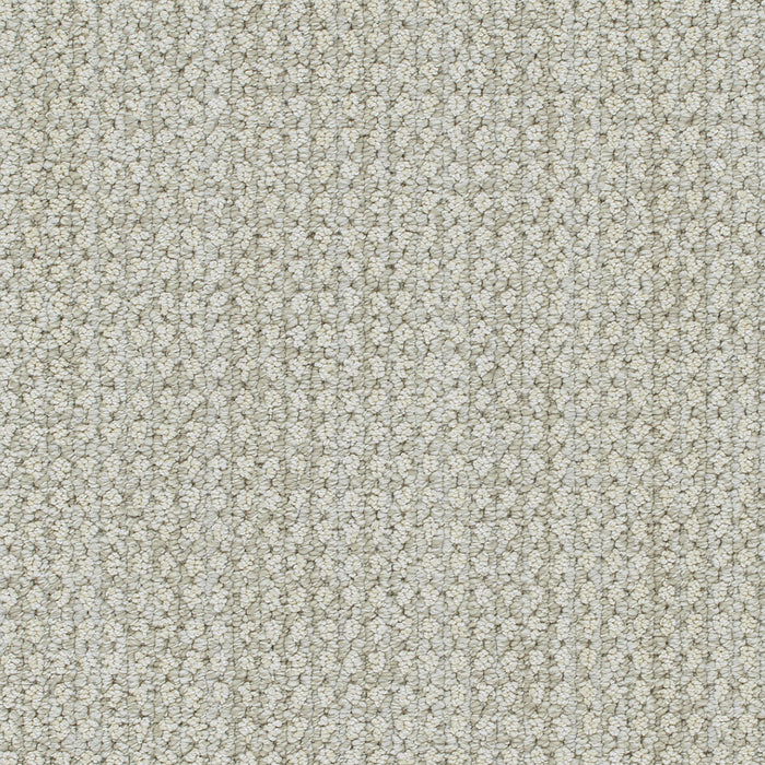 Brunswick Polyester Alpaca 8196 Carpet Loop 1