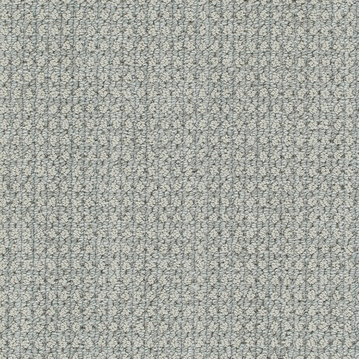 Brunswick Polyester Cozy Night 8223 Carpet Loop 1