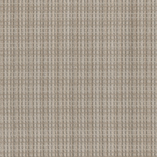 Suffolk Polyester Columbia 8000 Carpet Loop 1