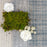 Suffolk Polyester Wright 8440 Carpet Loop 3