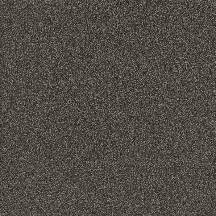 No Limits II Polyester Magnetic 2024 Carpet Textured 1