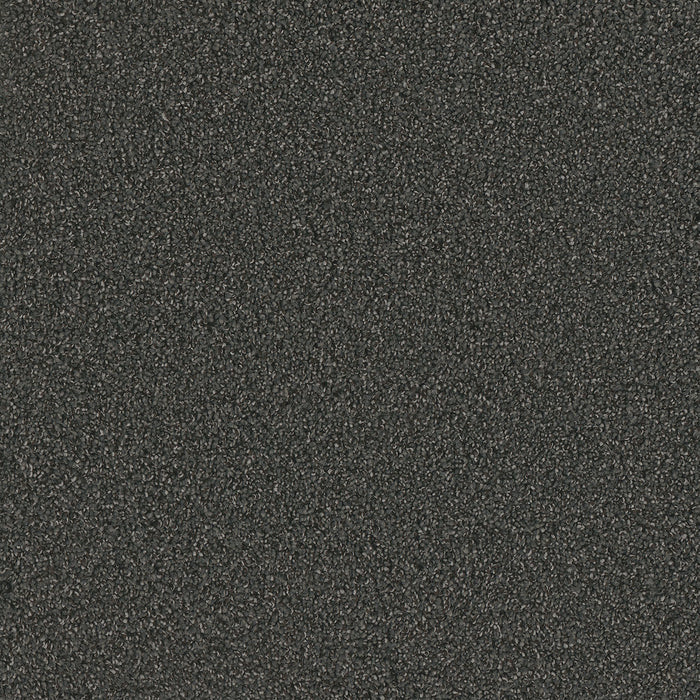 No Limits I Polyester Heavy Metal 2025 Carpet Textured 1