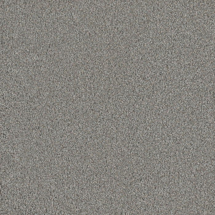 No Limits I Polyester Rain Drops 2140 Carpet Textured 1