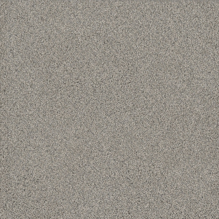 No Limits I Polyester Beach Sand 4064 Carpet Textured 1