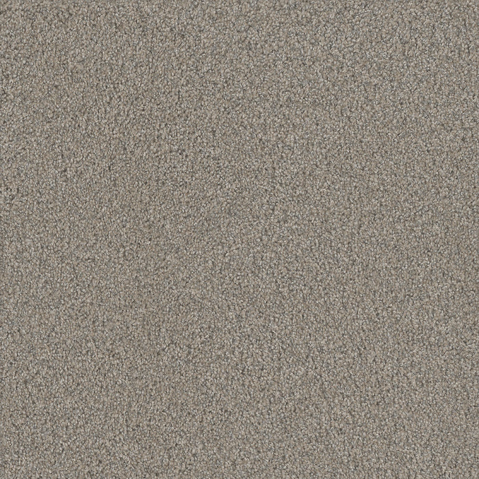 No Limits II Polyester Cloud Gate 4100 Carpet Textured 1