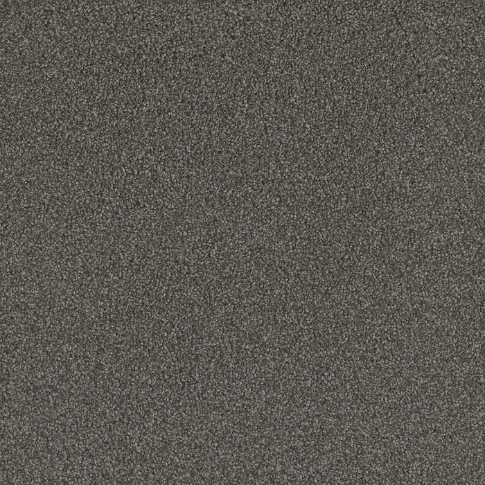 No Limits II Polyester Warm Shadow 5001 Carpet Textured 1