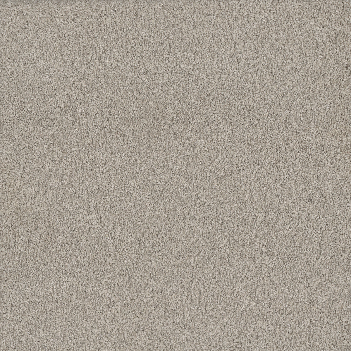 DreamWeaver No Limits II 5068 Wonderland Polyester Carpet — Stone
