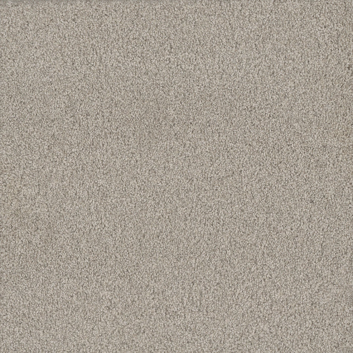 No Limits II Polyester Wonderland 5068 Carpet Textured 1