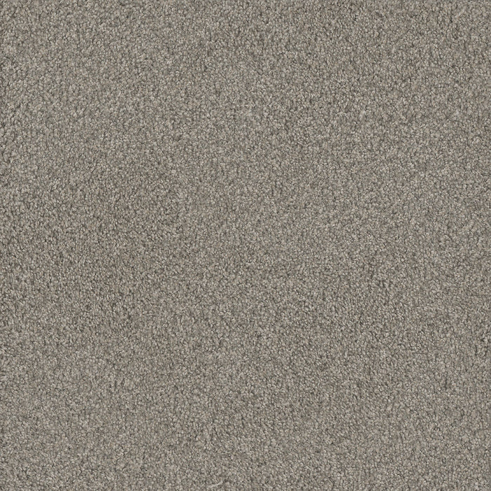 No Limits I Polyester Dewberry 5082 Carpet Textured 1