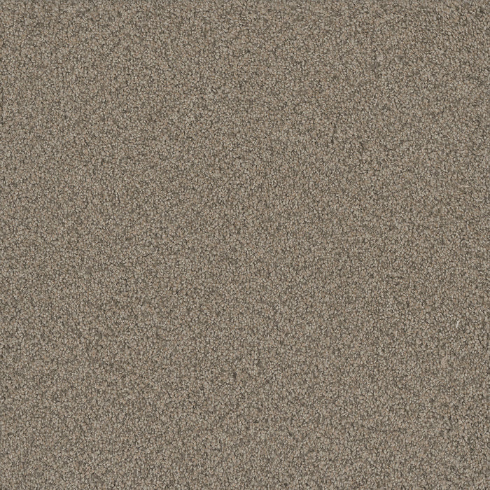 No Limits II Polyester Meadowlark 5091 Carpet Textured 1